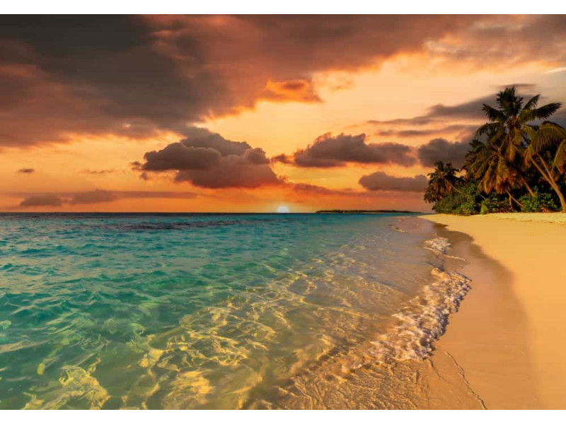Golden Hour Secluded Beach - AI Art Wall Mural for Contemporary Interiors Golden Hour Secluded Beach - AI Art Wall Mural for Contemporary Interiors