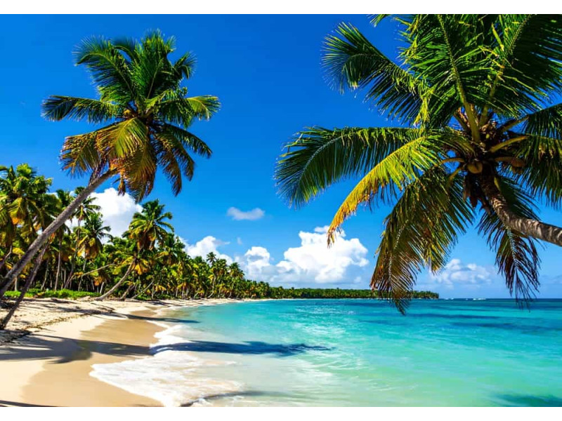 Vibrant Tropical Beach - AI Art Wall Mural for Contemporary Interiors Vibrant Tropical Beach - AI Art Wall Mural for Contemporary Interiors