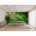 Sunlit Canopy Forest Light - Natural AI Wall Mural