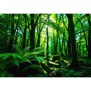 Sunlit Forest Dreams - AI Art Wall Mural for Contemporary Interiors Sunlit Forest Dreams - AI Art Wall Mural for Contemporary Interiors | Wall4Soul