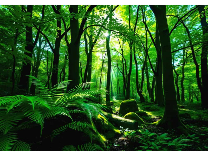Sunlit Forest Dreams - AI Art Wall Mural for Contemporary Interiors Sunlit Forest Dreams - AI Art Wall Mural for Contemporary Interiors