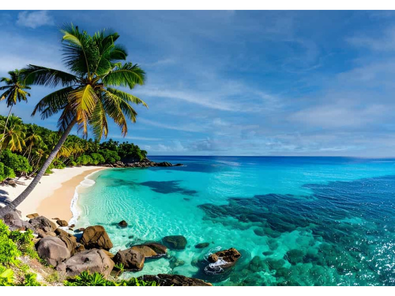 Tropical Cove - AI Art Wall Mural for Contemporary Interiors Tropical Cove - AI Art Wall Mural for Contemporary Interiors