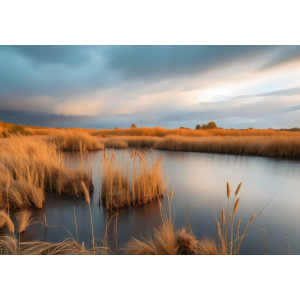 Marshland Sunset - AI Art Wall Mural for Contemporary Interiors Marshland Sunset - AI Art Wall Mural for Contemporary Interiors | Wall4Soul