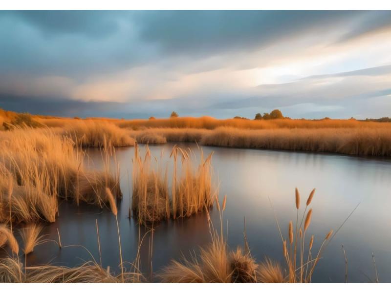 Marshland Sunset - AI Art Wall Mural for Contemporary Interiors Marshland Sunset - AI Art Wall Mural for Contemporary Interiors
