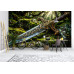 Celtic Steel - AI Art Wall Mural for Contemporary Interiors Celtic Steel - AI Art Wall Mural for Contemporary Interiors