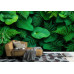 Lush Green Foliage - AI Art Wall Mural for Contemporary Interiors Lush Green Foliage - AI Art Wall Mural for Contemporary Interiors