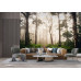 Mystical Early Morning Forest Path - AI Art Wall Mural for Contemporary Interiors