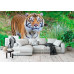 Sumatran Tiger Portrait - Classic Wall Mural for Modern Interiors Sumatran Tiger Portrait - Classic Wall Mural for Modern Interiors