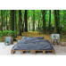 Sunlight in Green Forest - Classic Wall Mural for Modern Interiors Sunlight in Green Forest - Classic Wall Mural for Modern Interiors