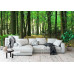 Sunlight in Green Forest - Classic Wall Mural for Modern Interiors Sunlight in Green Forest - Classic Wall Mural for Modern Interiors