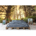 Rainforest Sunrise - Classic Wall Mural for Modern Interiors