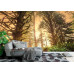 Rainforest Sunrise - Classic Wall Mural for Modern Interiors