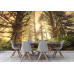 Rainforest Sunrise - Classic Wall Mural for Modern Interiors