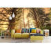 Rainforest Sunrise - Classic Wall Mural for Modern Interiors