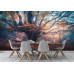 Old Magical Tree - Classic Wall Mural for Modern Interiors Old Magical Tree - Classic Wall Mural for Modern Interiors