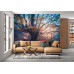 Old Magical Tree - Classic Wall Mural for Modern Interiors Old Magical Tree - Classic Wall Mural for Modern Interiors