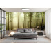 Misty Autumn Forest - Classic Wall Mural for Modern Interiors Misty Autumn Forest - Classic Wall Mural for Modern Interiors