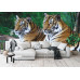 Two Tigers on Rock - Classic Wall Mural for Modern Interiors Two Tigers on Rock - Classic Wall Mural for Modern Interiors