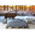 Red Deer in Morning Sun - Classic Wall Mural for Modern Interiors Red Deer in Morning Sun - Classic Wall Mural for Modern Interiors