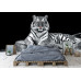 White Tiger Portrait - Classic Wall Mural for Modern Interiors White Tiger Portrait - Classic Wall Mural for Modern Interiors
