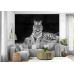 White Tiger Portrait - Classic Wall Mural for Modern Interiors White Tiger Portrait - Classic Wall Mural for Modern Interiors