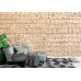 Egyptian Hieroglyphics Stone - Classic Wall Mural for Modern Interiors Egyptian Hieroglyphics Stone - Classic Wall Mural for Modern Interiors