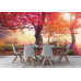 Autumn Trees in Carpathians - Classic Wall Mural for Modern Interiors Autumn Trees in Carpathians - Classic Wall Mural for Modern Interiors
