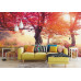 Autumn Trees in Carpathians - Classic Wall Mural for Modern Interiors Autumn Trees in Carpathians - Classic Wall Mural for Modern Interiors