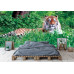 Amur Tiger on Summer Grass - Classic Wall Mural for Modern Interiors Amur Tiger on Summer Grass - Classic Wall Mural for Modern Interiors