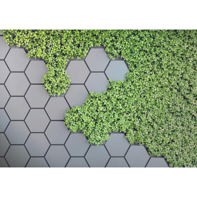 3D Green Vertical Garden - Classic Wall Mural for Modern Interiors