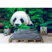 Giant Panda - Classic Wall Mural for Modern Interiors Giant Panda - Classic Wall Mural for Modern Interiors
