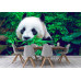 Giant Panda - Classic Wall Mural for Modern Interiors Giant Panda - Classic Wall Mural for Modern Interiors
