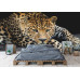 Close-Up Leopard Portrait - Classic Wall Mural for Modern Interiors Close-Up Leopard Portrait - Classic Wall Mural for Modern Interiors