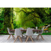 Nepal Jungle - Classic Wall Mural for Modern Interiors