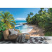 Wild Beach in Costa Rica - Classic Wall Mural for Modern Interiors Wild Beach in Costa Rica - Classic Wall Mural for Modern Interiors