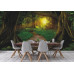 Wooden Pathway in Asian Jungle - Classic Wall Mural for Modern Interiors Wooden Pathway in Asian Jungle - Classic Wall Mural for Modern Interiors
