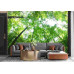 Lush Green Forest - Classic Wall Mural for Modern Interiors