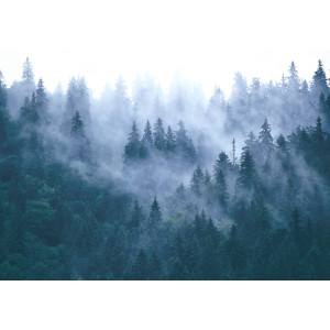 Misty Mountain Landscape - Classic Wall Mural for Modern Interiors | Wall4Soul