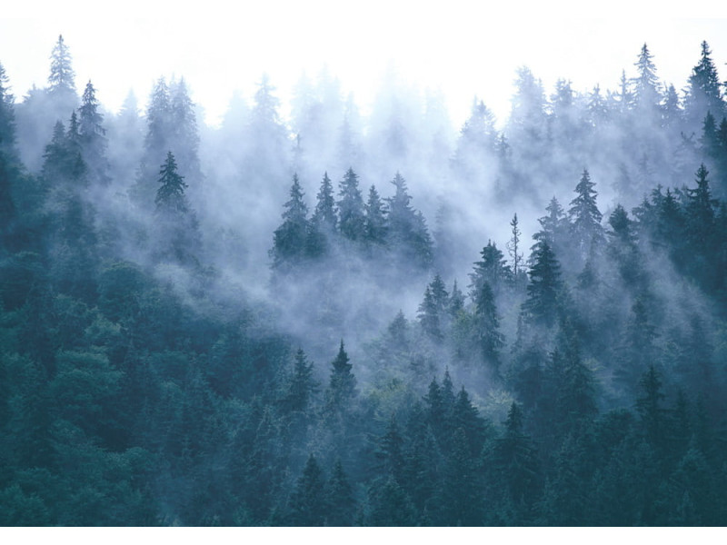 Misty Mountain Landscape - Classic Wall Mural for Modern Interiors