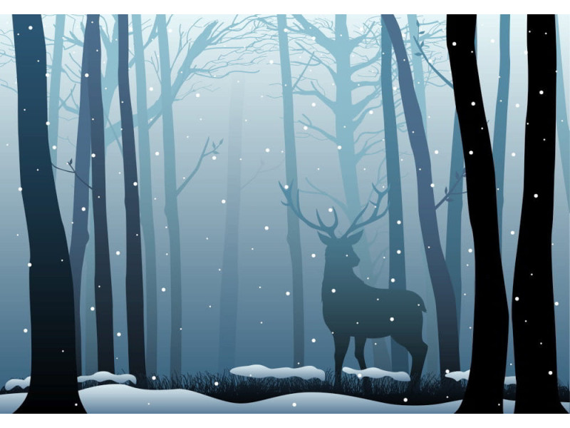 Misty Woods with Deer - Classic Wall Mural for Modern Interiors Misty Woods with Deer - Classic Wall Mural for Modern Interiors