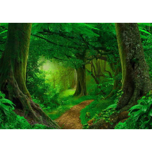 Deep Tropical Jungle - Classic Wall Mural for Modern Interiors | Wall4Soul