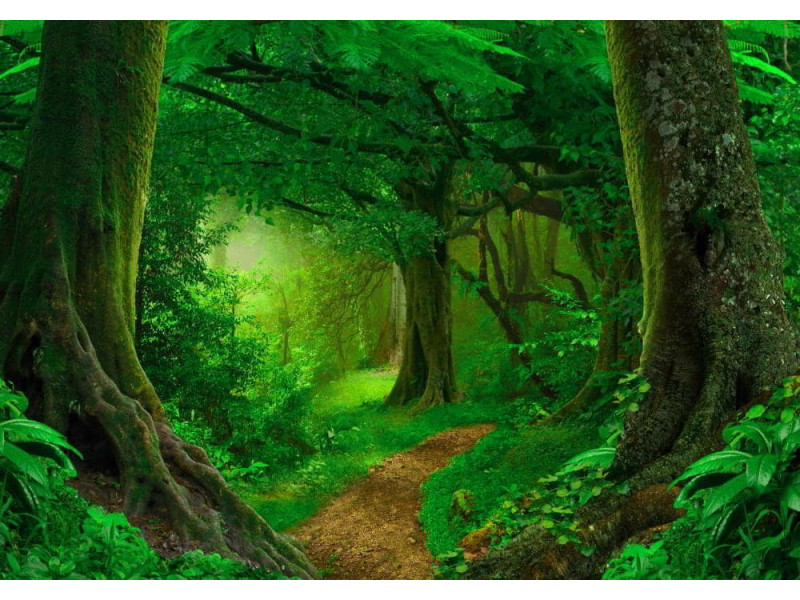 Deep Tropical Jungle - Classic Wall Mural for Modern Interiors
