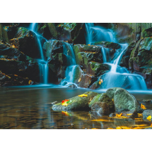 Flowing Forest Stream - Classic Wall Mural for Modern Interiors | Wall4Soul
