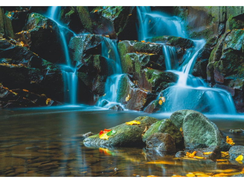 Flowing Forest Stream - Classic Wall Mural for Modern Interiors Flowing Forest Stream - Classic Wall Mural for Modern Interiors