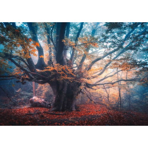 Old Magical Tree - Classic Wall Mural for Modern Interiors | Wall4Soul