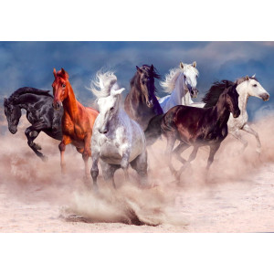 Horse Herd in Desert Dust Storm - Classic Wall Mural for Modern Interiors | Wall4Soul