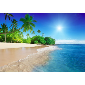 Caribbean Beach with Palms - Classic Wall Mural for Modern Interiors | Wall4Soul