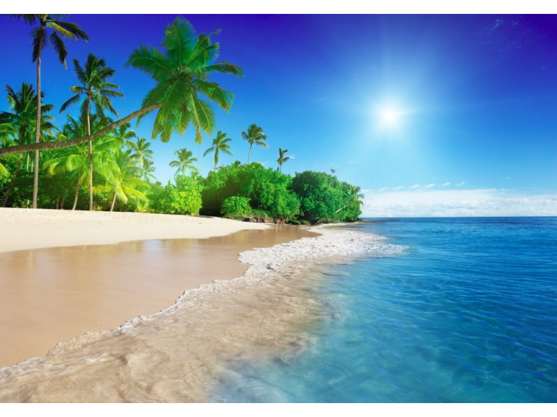 Caribbean Beach with Palms - Classic Wall Mural for Modern Interiors Caribbean Beach with Palms - Classic Wall Mural for Modern Interiors