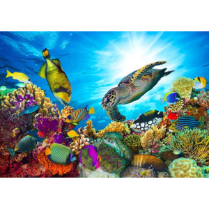 Coral Reef with Fishes & Sea Turtle - Classic Wall Mural for Modern Interiors | Wall4Soul