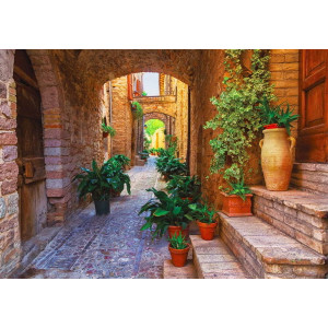 Potted Plants in Spello Streets - Classic Wall Mural for Modern Interiors Potted Plants in Spello Streets - Classic Wall Mural for Modern Interiors | Wall4Soul